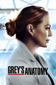 Grey's Anatomy saison 6 episode 16 streaming VF