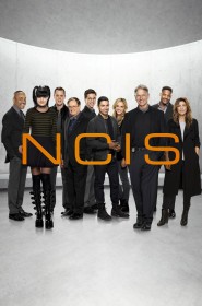 NCIS : Enquêtes Spéciales saison 12 episode 2 streaming VF